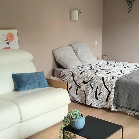 Cosy 1er Centre Vu Chateau Et Jardin * Laval (Mayenne)