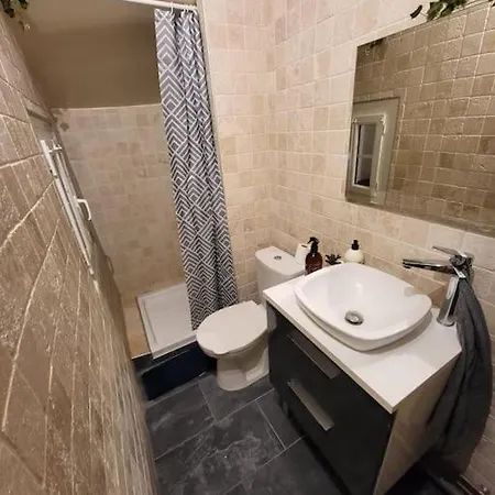 Cosy 1er Centre Vu Chateau Et Jardin 公寓 拉瓦勒