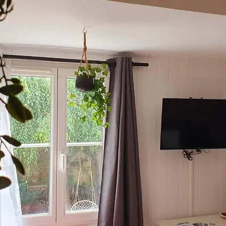 Cosy 1er Centre Vu Chateau Et Jardin 公寓