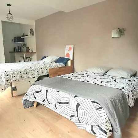 Cosy 1er Centre Vu Chateau Et Jardin 公寓 *