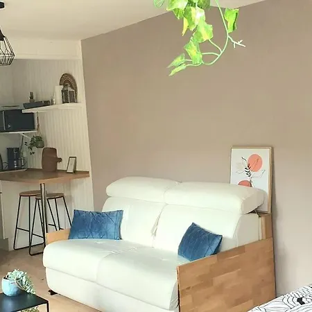 Cosy 1er Centre Vu Chateau Et Jardin