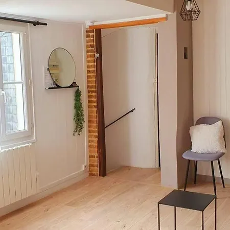 Apartament Cosy 1er Centre Vu Chateau Et Jardin *