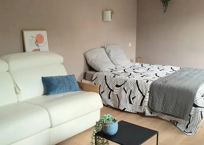 Cosy 1er Centre Vu Chateau Et Jardin * Laval (Mayenne)