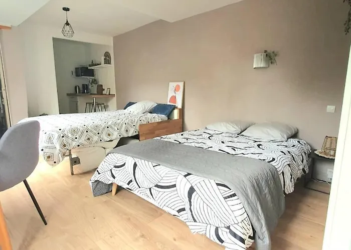 Cosy 1er Centre Vu Chateau Et Jardin Apartmán *