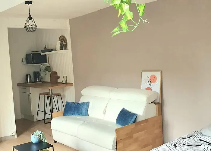 Cosy 1er Centre Vu Chateau Et Jardin