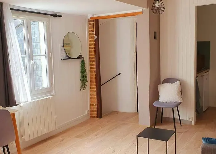 Apartmán Cosy 1er Centre Vu Chateau Et Jardin *