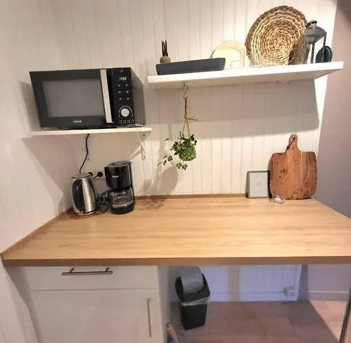 Cosy 1er Centre Vu Chateau Et Jardin *